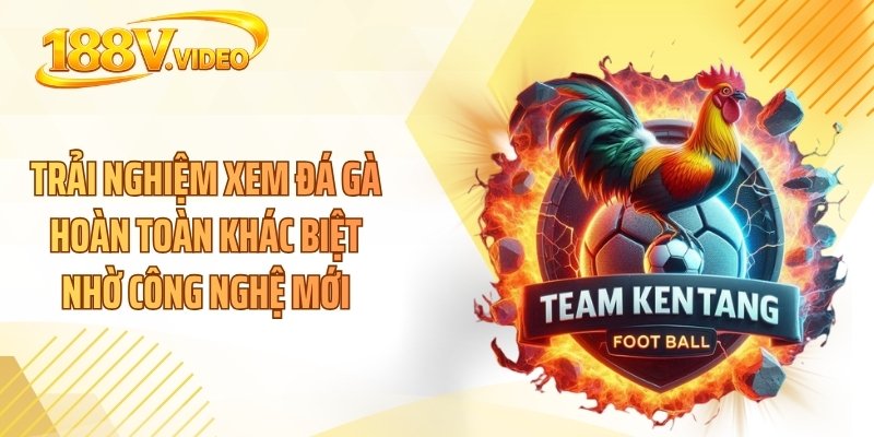 Trải nghiệm xem đá gà hoàn toàn khác biệt nhờ công nghệ mới